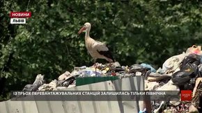 Водії «АВЕ-Львів»  не мають куди вивозити сміття з вулиці Північної