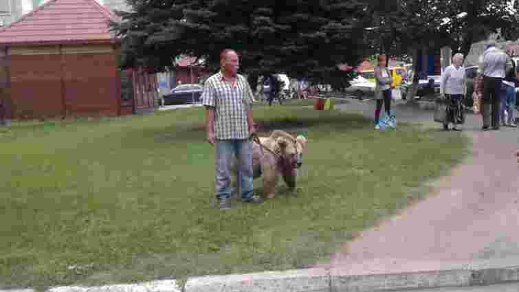 Екологи з поліцією забрали ведмедицю з пересувного цирку на Львівщині