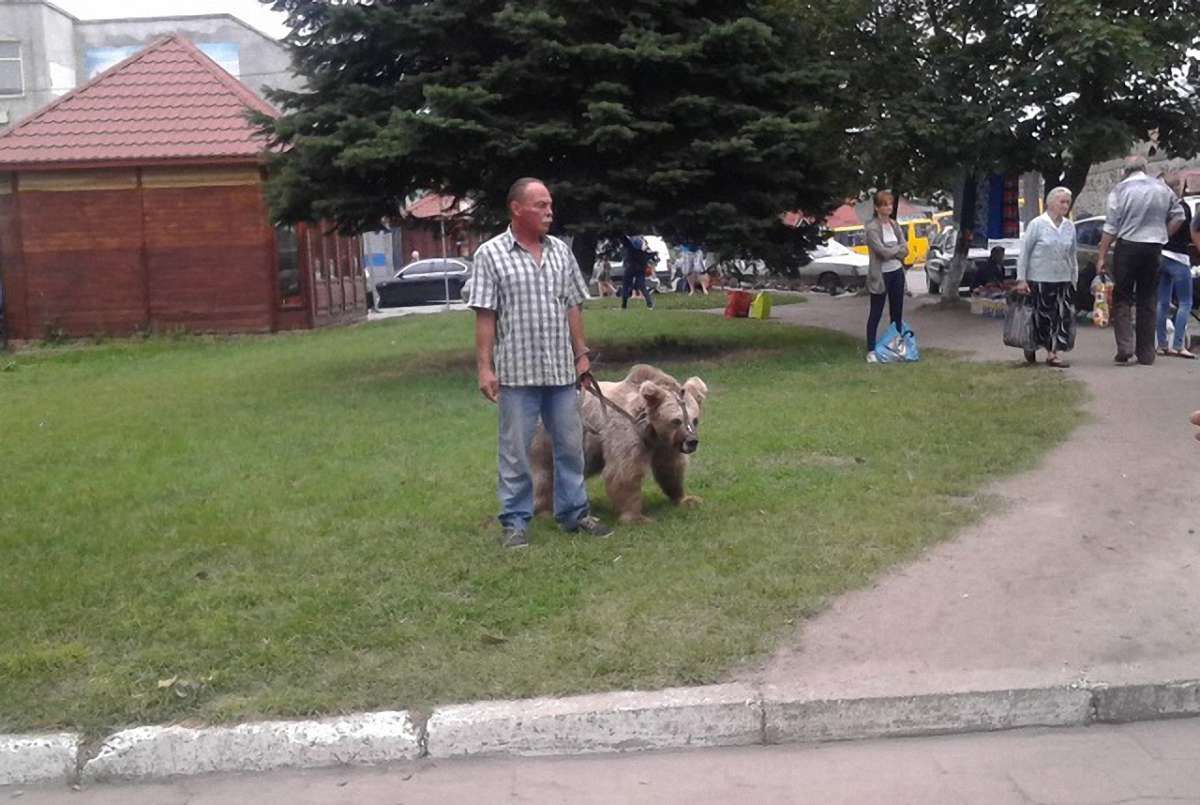 Екологи з поліцією забрали ведмедицю з пересувного цирку на Львівщині