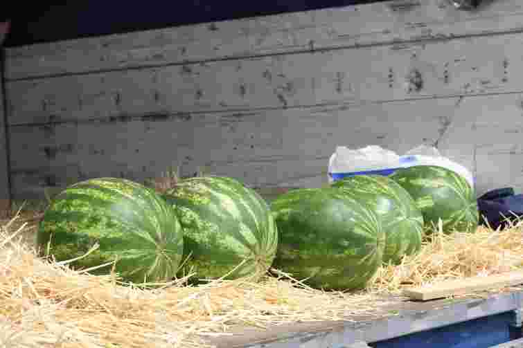 Небачена пропозиція від «Шувару»: чим ринок здивував своїх клієнтів