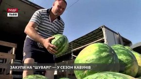Найсмачніші кавуни – на «Шуварі»