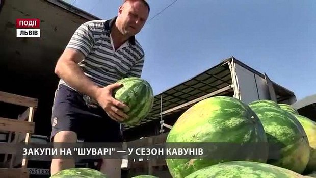 Найсмачніші кавуни – на «Шуварі»