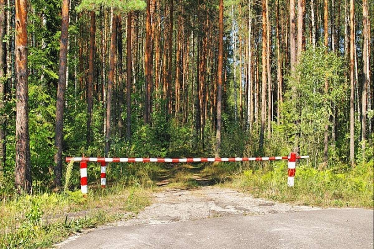 До лісів Прикарпаття обмежили в’їзд транспорту на період спеки