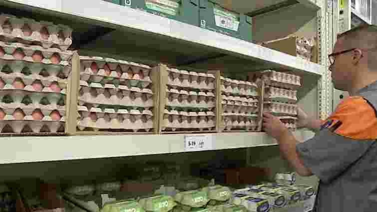 У Нідерландах почали винищувати курей через виявлення токсину у яйцях