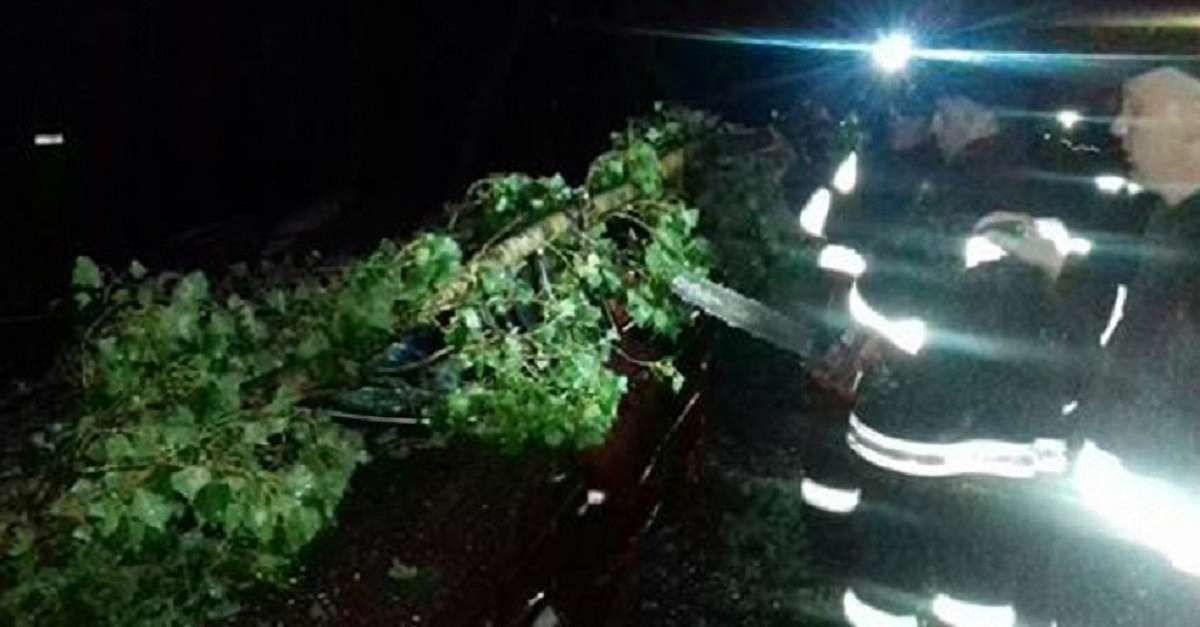Внаслідок перекидання авто на Дрогобиччині загинули двоє людей