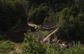 Труни з небіжчиками у гуцульському селі переправляють до церкви канатною дорогою. Фото дня