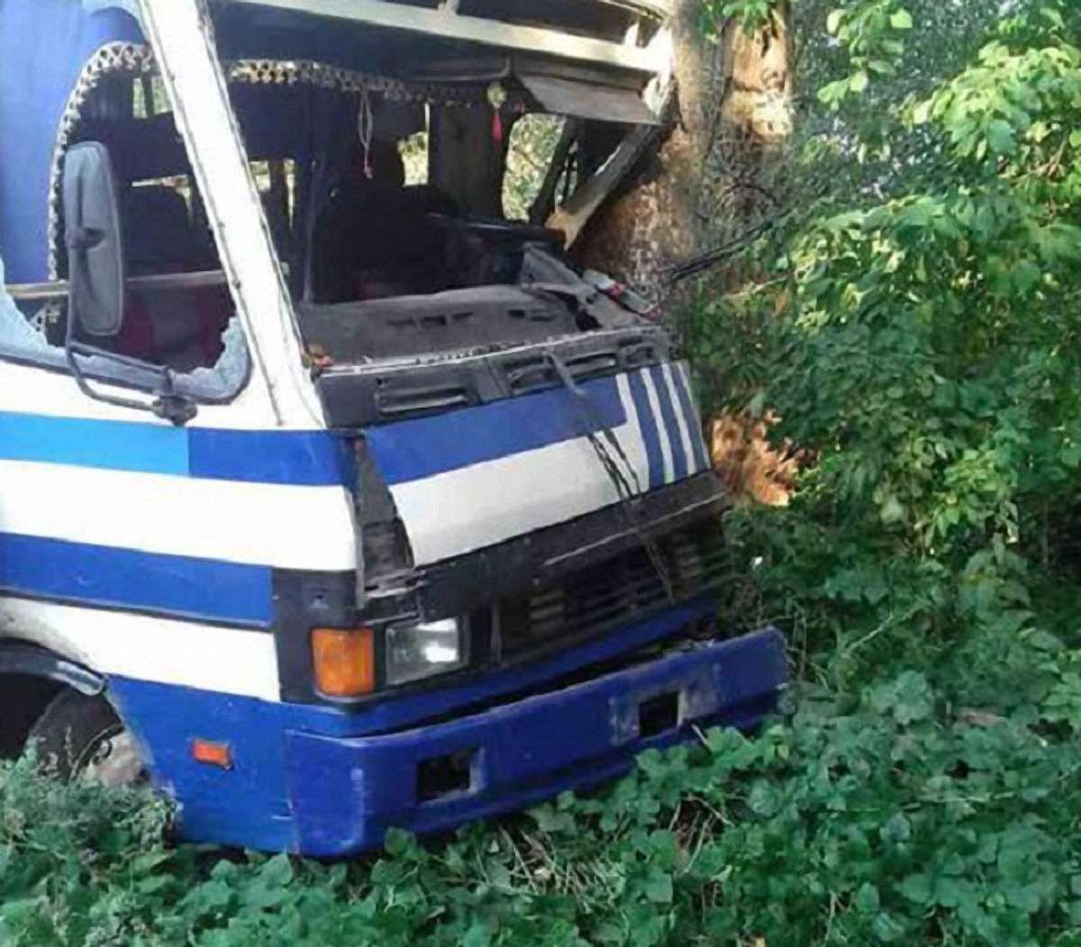 У Старосамбірському районі маршрутка в’їхала в дерево