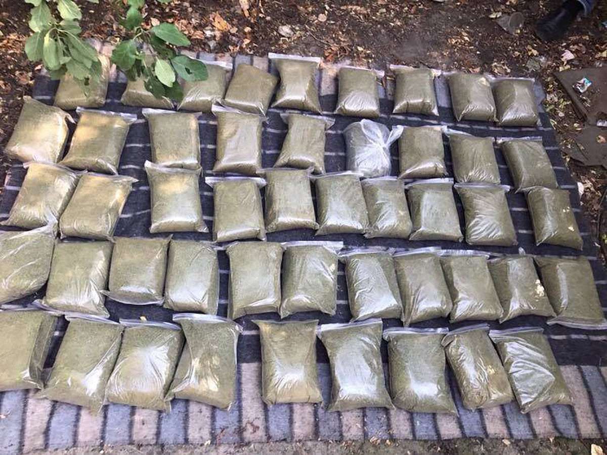 Поліція вилучила у жителя Луганщини 36 кг коноплі