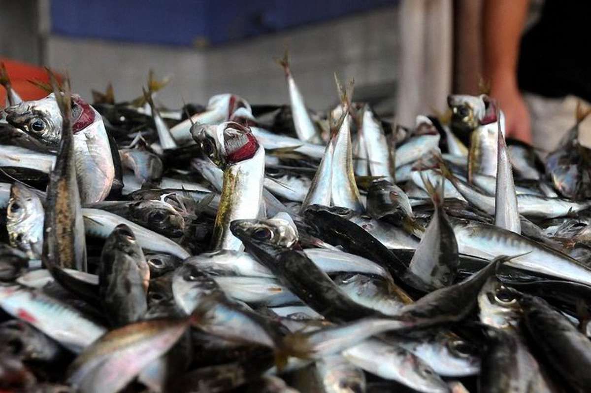 У Миколаєві виявили збудник холери 