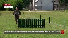 У Золочеві відбулися змагання службових собак