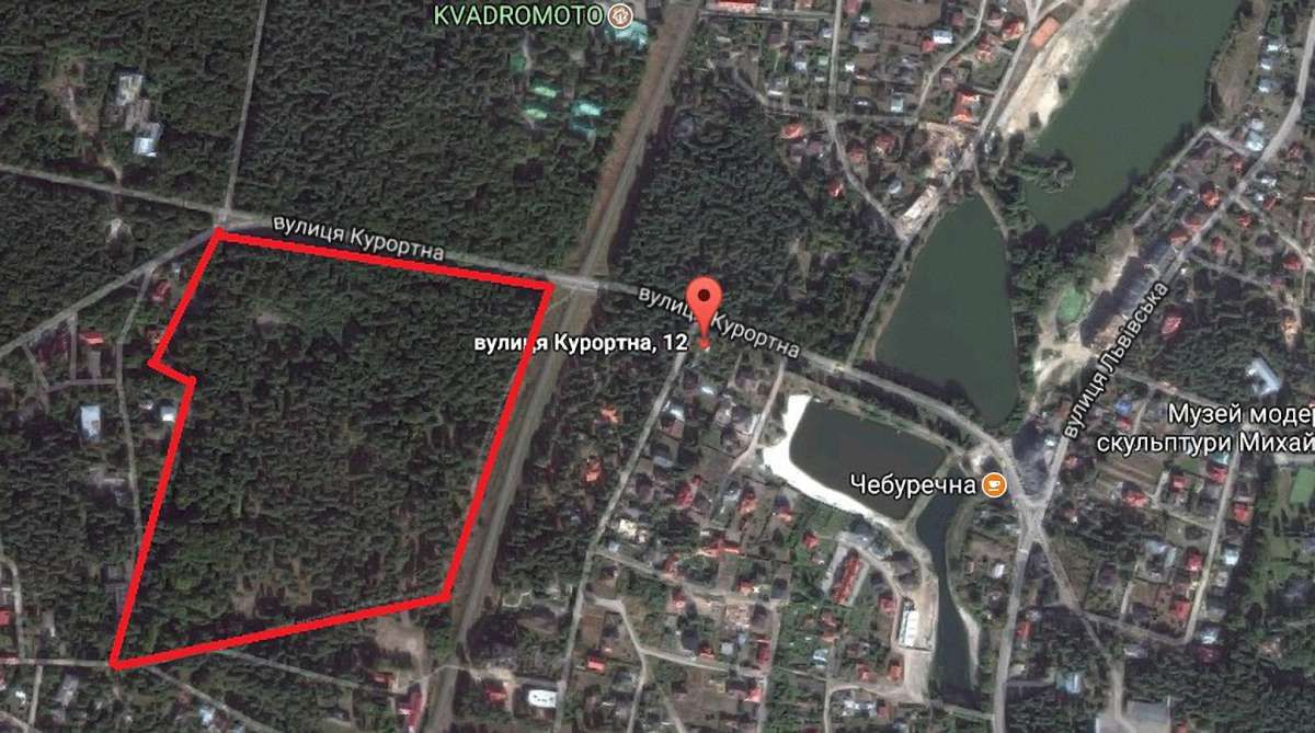 У Брюховичах вирубають 10 гектарів лісу. Законно
