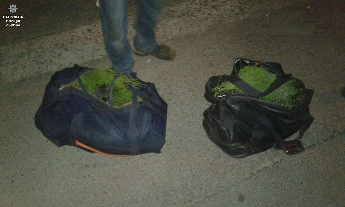 Львівська поліція вилучила у перехожих 18 ймовірно крадених саджанців туй