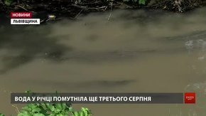 Сільський голова Зимної Води вважає, що воду у місцевій річці отруїли львів'яни