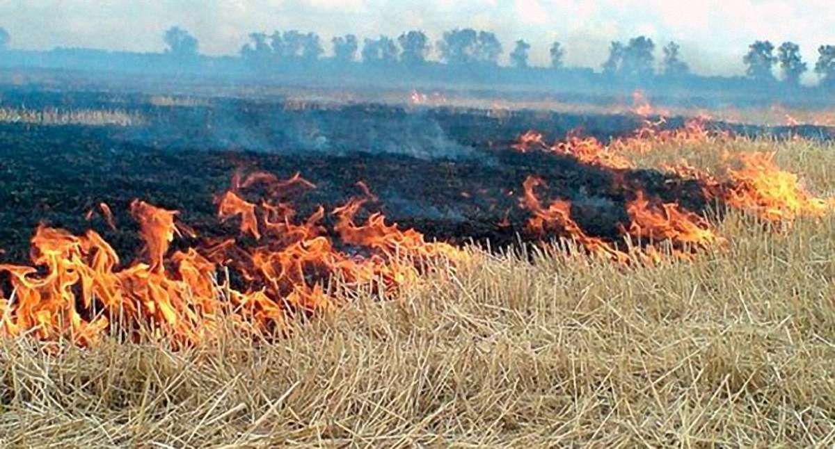 Бойовики ОРДЛО навмисне влаштовують пожежі, щоб відтіснити ЗСУ