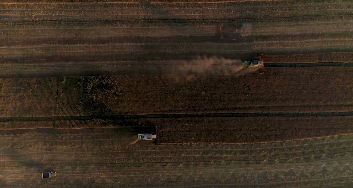 На Львівщині проведуть аудит  сільськогосподарських земель