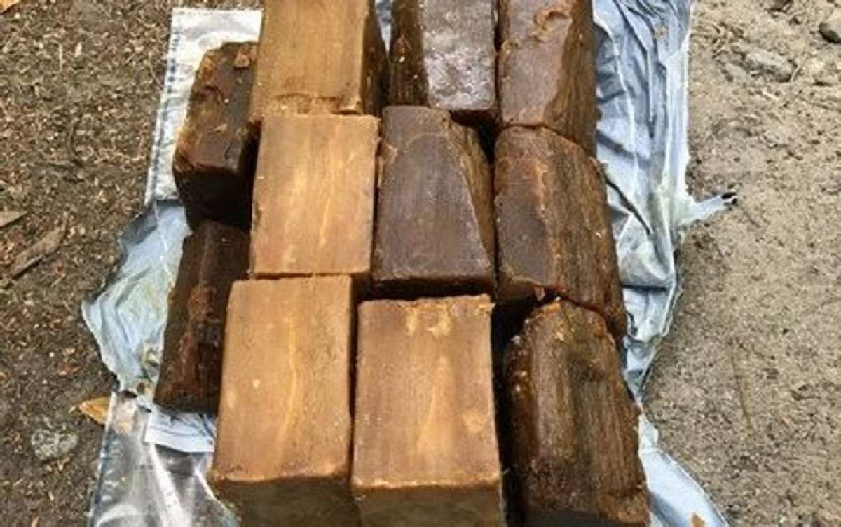 У київському Гідропарку знайшли схованку з патронами і тротиловими шашками