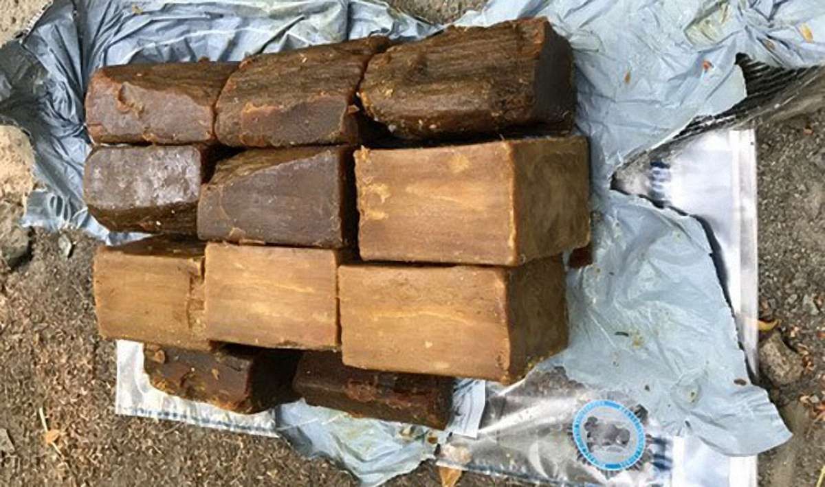 У київському парку СБУ виявила схованку з набоями і вибухівкою