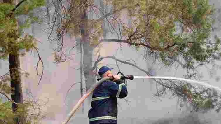 На Житомирщині загорілися 60 га заповідного лісу