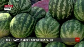 Українські кавуни вперше експортували до Великобританії