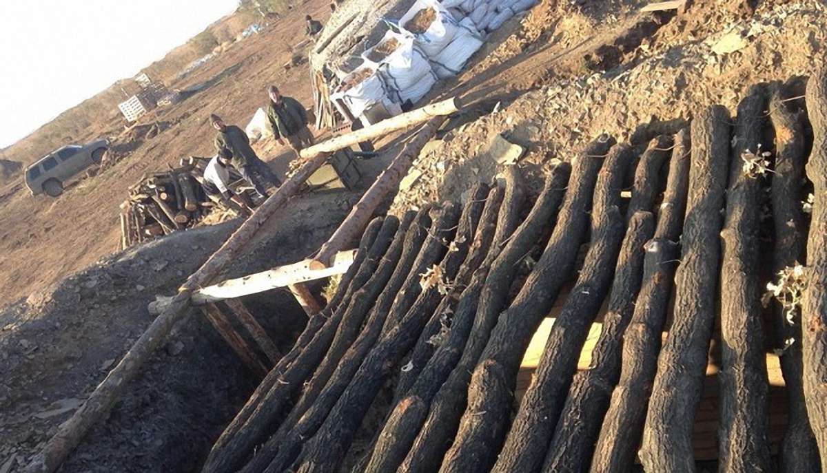 Поблизу Авдіївки боєць АТО кинув товаришеві по службі в бліндаж гранату