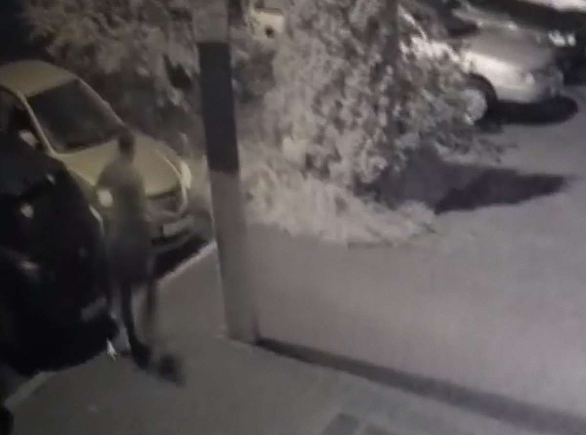 Львівські патрульні затримали злодія за відео з камер спостереження