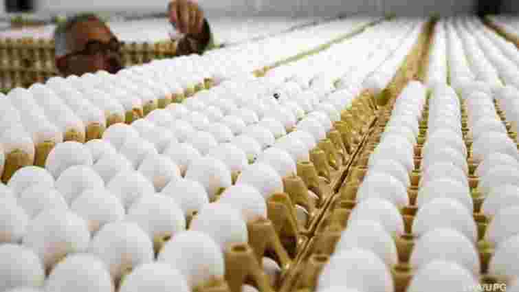 Заражені токсинами яйця виявлено в 45 країнах світу