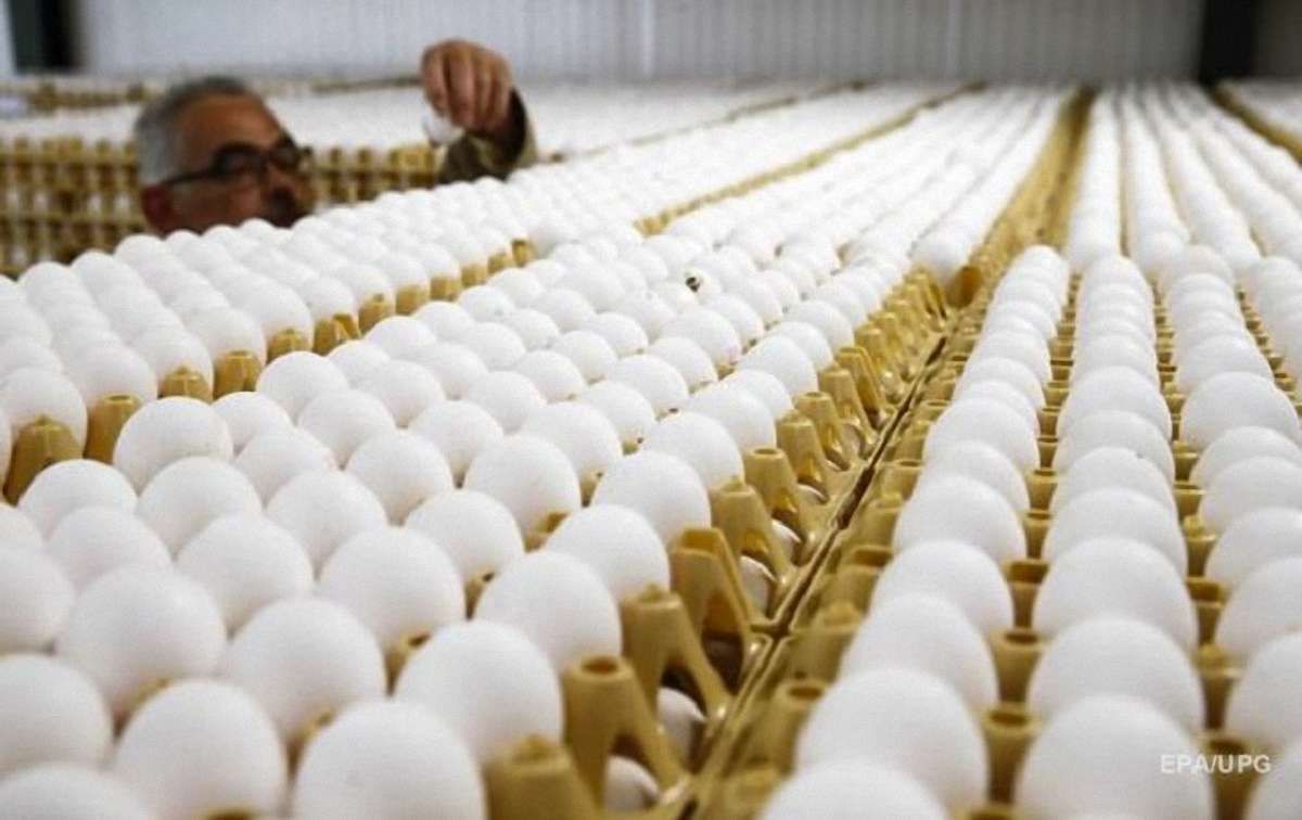 Заражені токсинами яйця виявлено в 45 країнах світу