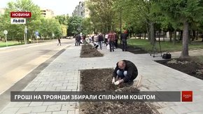 У Львові переселенці з місцевими мешканцями висадили алею троянд