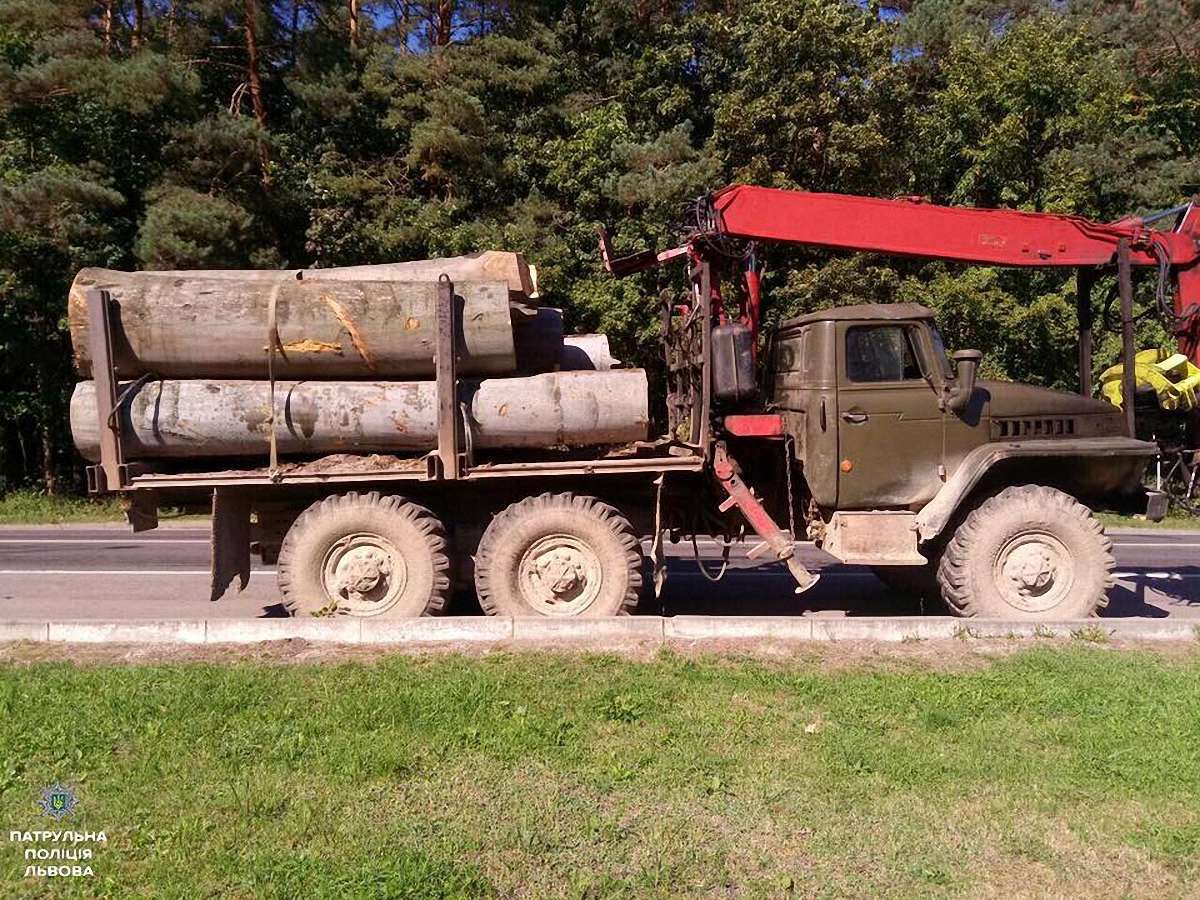 Біля Львова затримали вантажівку з деревом без документів