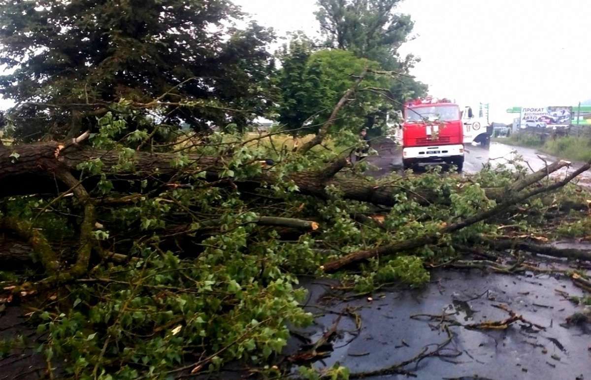 Негода залишила без світла 478 населених пунктів у шести областях України