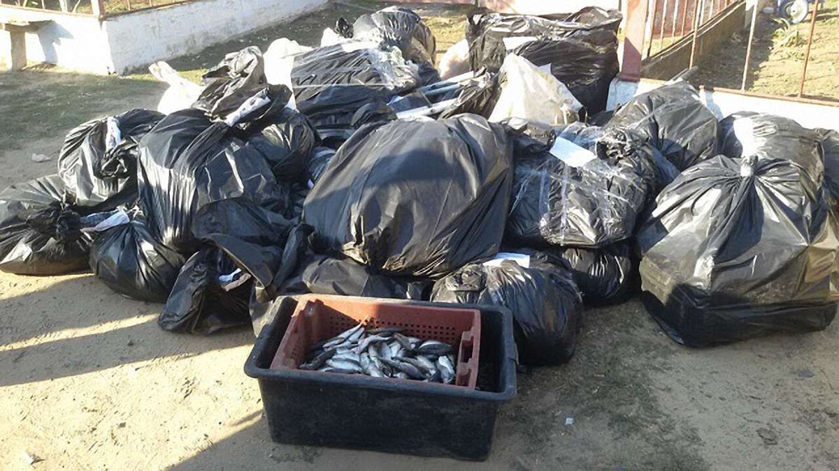 На Миколаївщині рибоохоронний патруль зловили на браконьєрстві