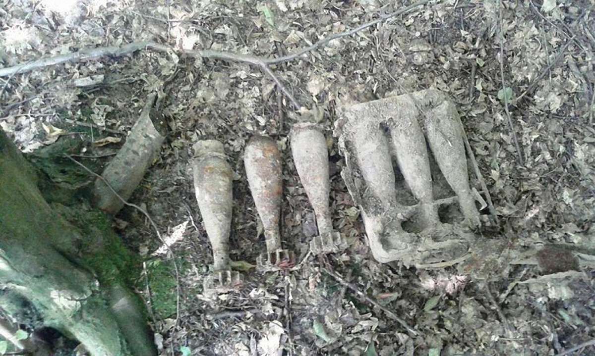 У вихідні на Львівщині виявили мінометну міну та п’ять артилерійських снарядів