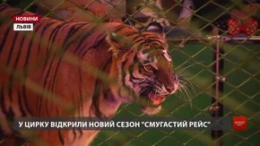 У Львівському цирку стартував новий сезон «Смугастий рейс»