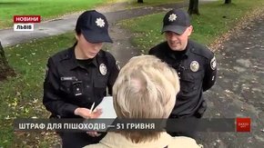 Від початку року на дорогах Львова збили майже 400 пішоходів