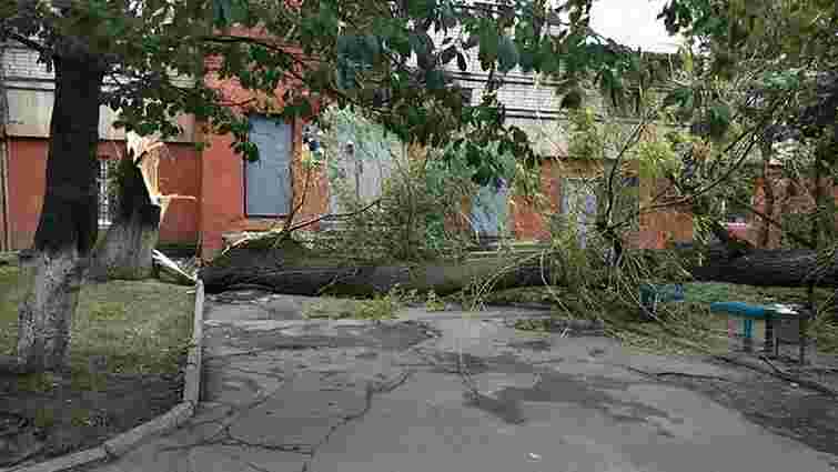 Над Львівщиною пронісся потужний буревій: повалені дерева, обірвані лінії електропередач