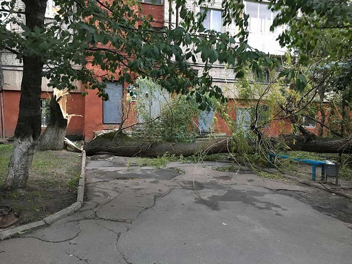 Над Львівщиною пронісся потужний буревій: повалені дерева, обірвані лінії електропередач