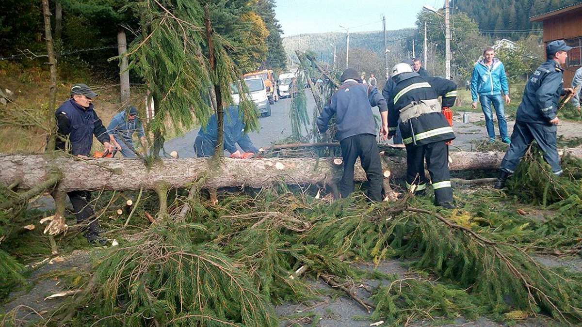 Через негоду 195 населених пунктів України залишилися без світла