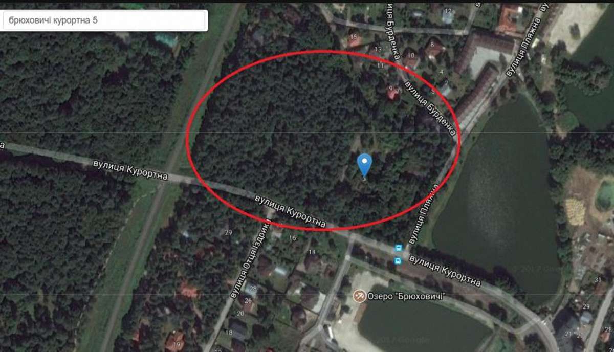 На орендованій ділянці у Брюховичах підприємиця без дозволу зрізала понад 80 дерев