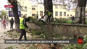 Наслідки негоди львівські комунальники усуватимуть і у вихідні