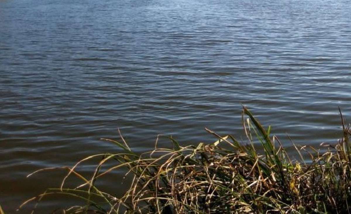 Львівські водойми та повітря у місті мають перевищений показник забруднення