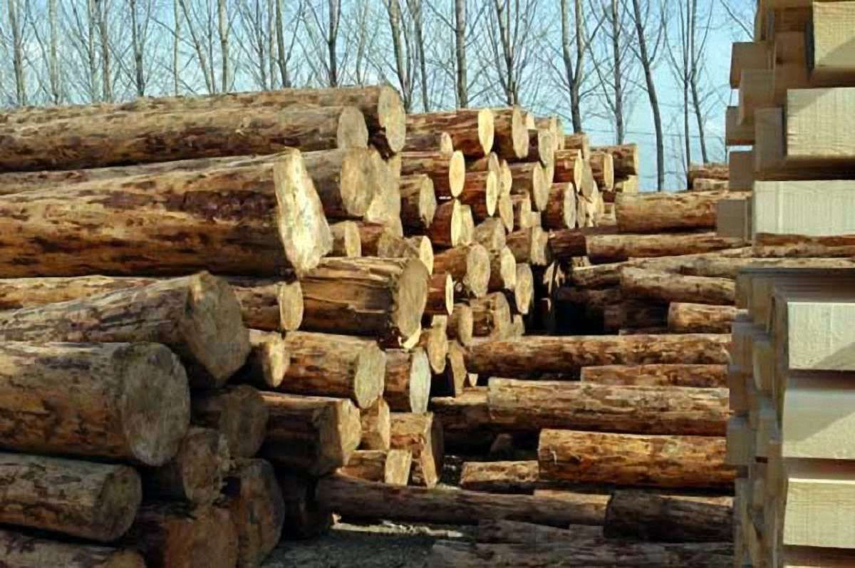 Посадовці лісгоспу на Львівщині преміювали себе на понад ₴5 млн