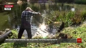 Мешканці вул. Панча переконані, що на місці озера хочуть звести новобудову