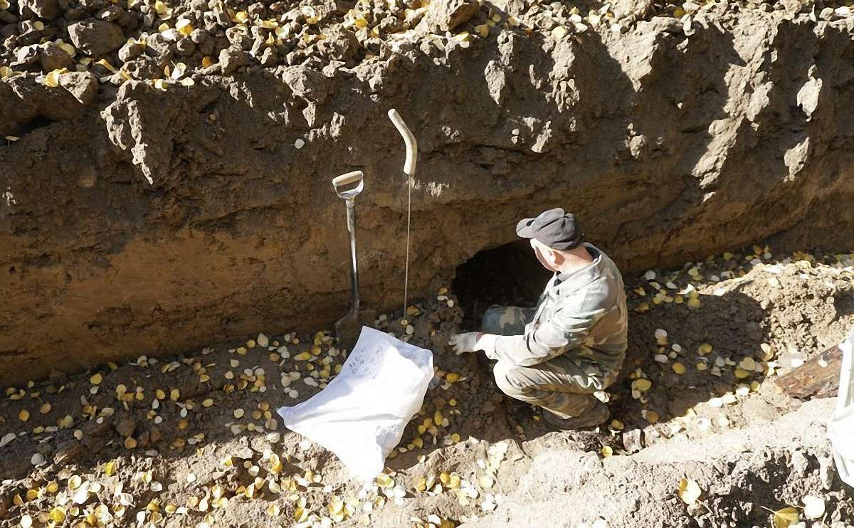 У львівському Парку культури віднайшли останки 175 німецьких солдатів