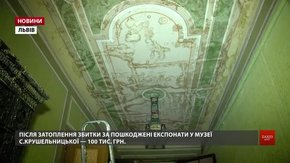 Студенти почали збирати гроші для порятунку затопленого музею Соломії Крушельницької
