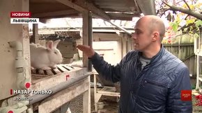 Боєць АТО після війни вирощує кроликів