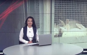 Головні новини Львова за 1 листопада