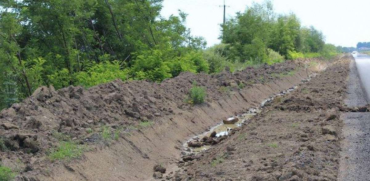 У міському парку Трускавця виявили труп пенсіонерки