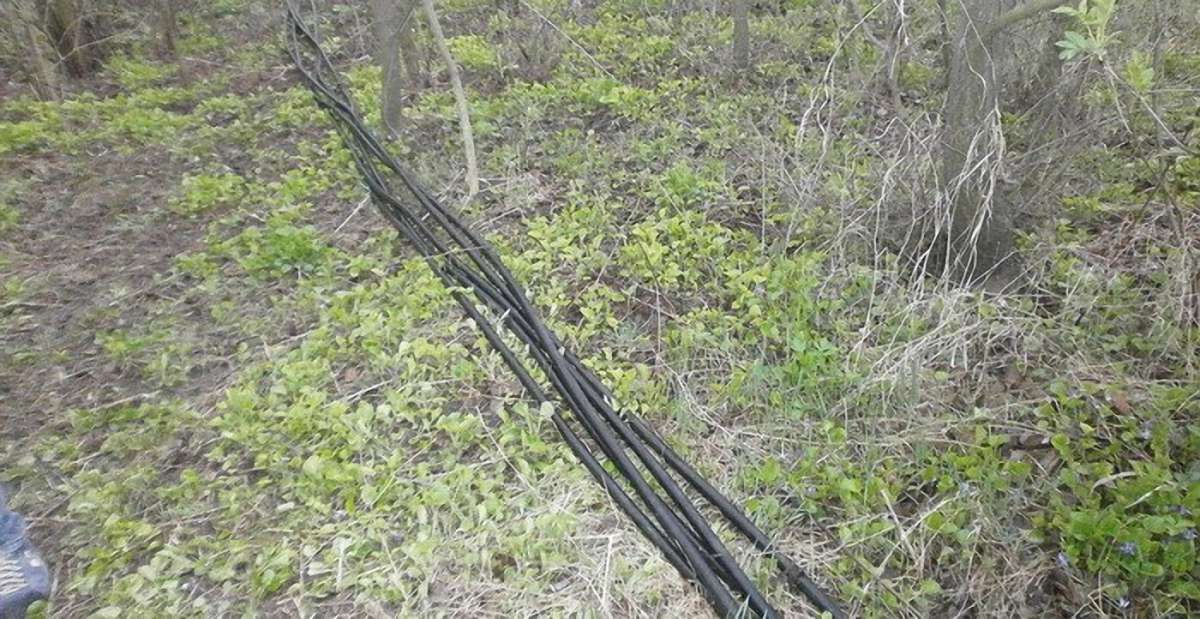 У Києві затримали злодія, який обрізав кабель урядового зв’язку