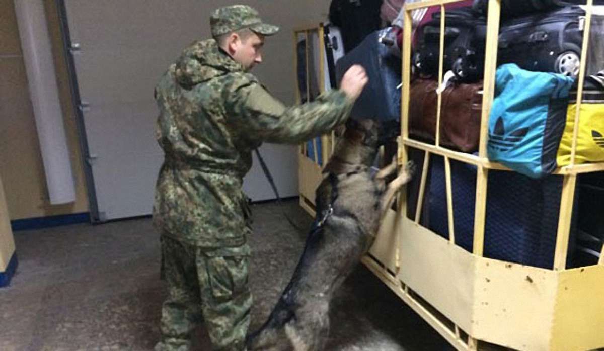 У поліції розповіли подробиці масового «мінування» українських аеропортів