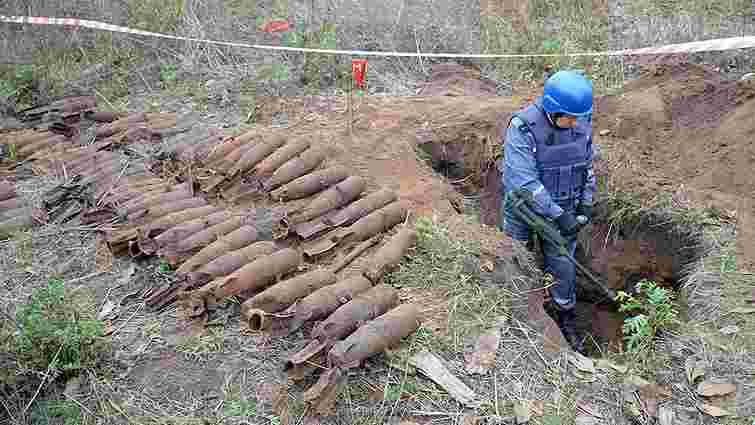 На Миколаївщині чоловік на городі розкопав 65 авіабомб